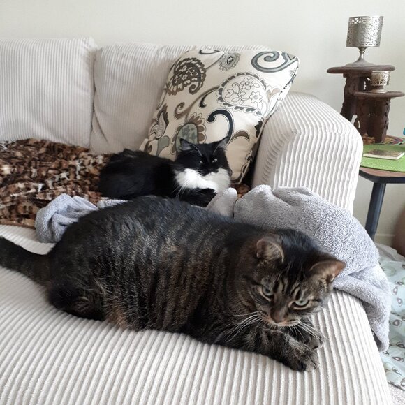 Meet the Posher - Picture 1 of 1